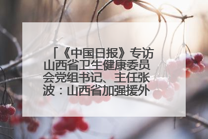 《中国日报》专访山西省卫生健康委员会党组书记、主任张波：山西省加强援外医疗工作 构建中非卫生健康共同体