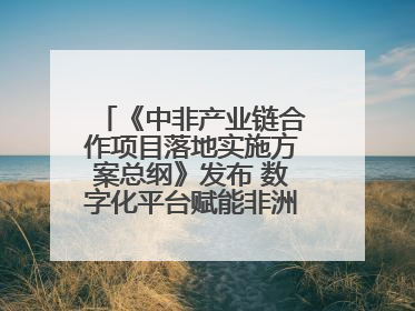 《中非产业链合作项目落地实施方案总纲》发布 数字化平台赋能非洲发展驶入快车道