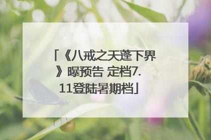 《八戒之天蓬下界》曝预告 定档7.11登陆暑期档