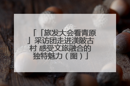 「旅发大会看青原」采访团走进渼陂古村 感受文旅融合的独特魅力（图）