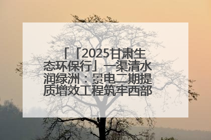 「2025甘肃生态环保行」一渠清水润绿洲：景电二期提质增效工程筑牢西部生态安全屏障