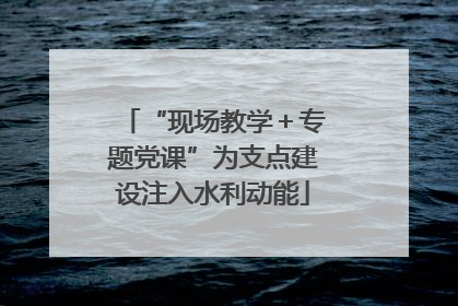 “现场教学＋专题党课”为支点建设注入水利动能