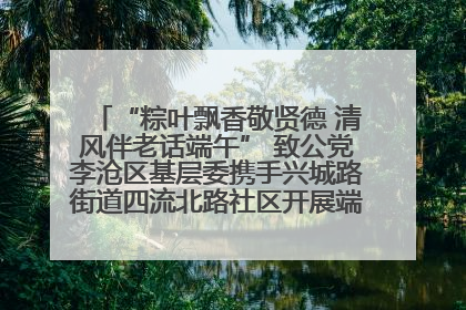 “粽叶飘香敬贤德 清风伴老话端午” 致公党李沧区基层委携手兴城路街道四流北路社区开展端午节主题活动