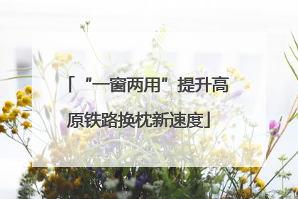 “一窗两用”提升高原铁路换枕新速度
