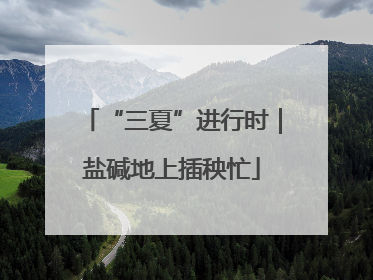 “三夏”进行时｜盐碱地上插秧忙