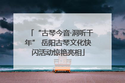 “古琴今音·洞听千年” 岳阳古琴文化快闪活动惊艳亮相
