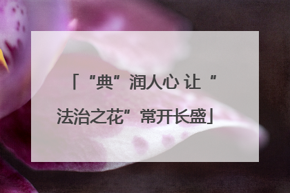 “典”润人心 让“法治之花”常开长盛