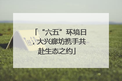 “六五”环境日，大兴廊坊携手共赴生态之约