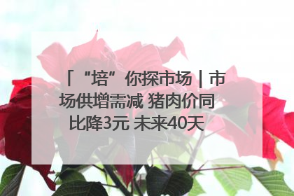“培”你探市场｜市场供增需减 猪肉价同比降3元 未来40天便宜猪肉敞开吃