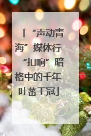 “声动青海”媒体行“扣响”暗格中的千年吐蕃王冠