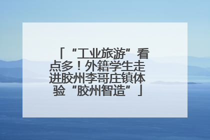 “工业旅游”看点多！外籍学生走进胶州李哥庄镇体验“胶州智造”
