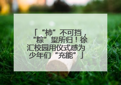 “柿”不可挡，“粽”望所归！徐汇校园用仪式感为少年们“充能”
