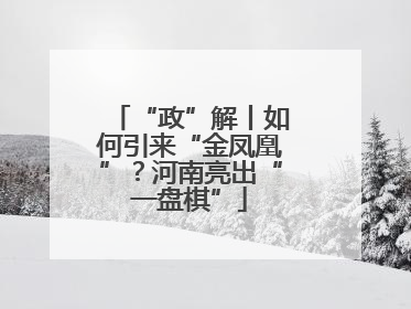 “政”解丨如何引来“金凤凰”？河南亮出“一盘棋”