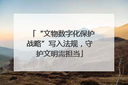“文物数字化保护战略”写入法规，守护文明需担当