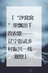 “沙窝窝”里飘出千首农歌——辽宁彰武乡村振兴一线观察