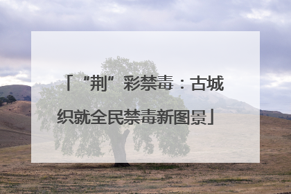 “荆”彩禁毒：古城织就全民禁毒新图景