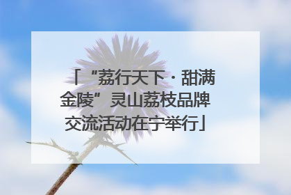 “荔行天下・甜满金陵”灵山荔枝品牌交流活动在宁举行