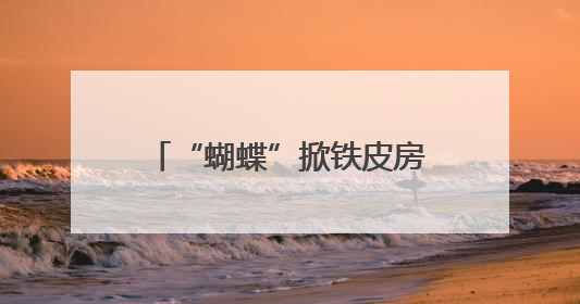 “蝴蝶”掀铁皮房顶吹倒大树 海南消防部门紧急排险