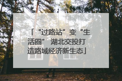 “过路站”变“生活圈” 湖北交投打造路域经济新生态