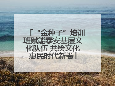“金种子”培训班赋能泰安基层文化队伍 共绘文化惠民时代新卷