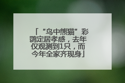 “鸟中熊猫”彩鹮定居孝感，去年仅观测到1只，而今年全家齐现身