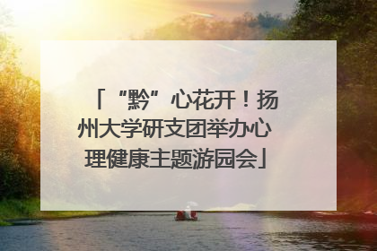 “黔”心花开！扬州大学研支团举办心理健康主题游园会