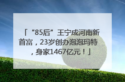 “85后”王宁成河南新首富，23岁创办泡泡玛特，身家1467亿元！