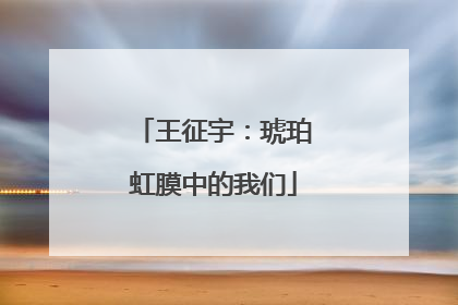 王征宇：琥珀虹膜中的我们