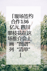 现场签约合作136亿元 四川攀枝花在这场推介会上画“图谱”列“清单”
