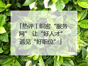 热评丨织密“服务网” 让“好人才”遇见“好职位”