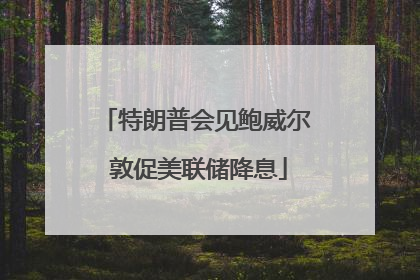 特朗普会见鲍威尔 敦促美联储降息