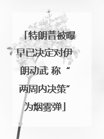 特朗普被曝早已决定对伊朗动武 称“两周内决策”为烟雾弹