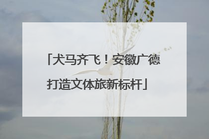 犬马齐飞！安徽广德打造文体旅新标杆