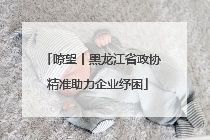 瞭望丨黑龙江省政协精准助力企业纾困