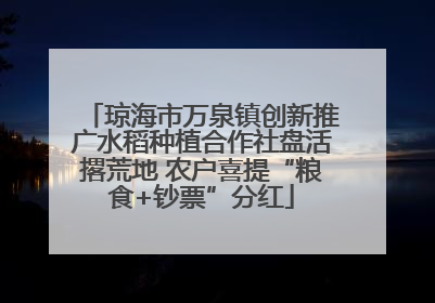 琼海市万泉镇创新推广水稻种植合作社盘活撂荒地 农户喜提“粮食+钞票”分红