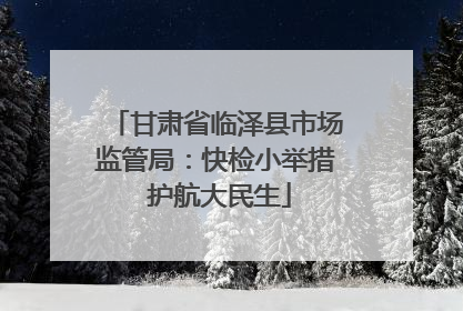 甘肃省临泽县市场监管局：快检小举措 护航大民生