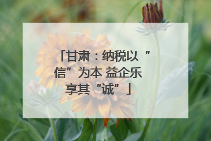 甘肃：纳税以“信”为本 益企乐享其“诚”