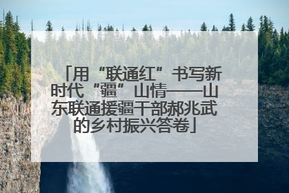 用“联通红”书写新时代“疆”山情——山东联通援疆干部郝兆武的乡村振兴答卷