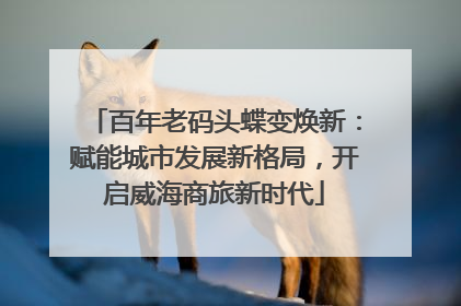 百年老码头蝶变焕新：赋能城市发展新格局，开启威海商旅新时代