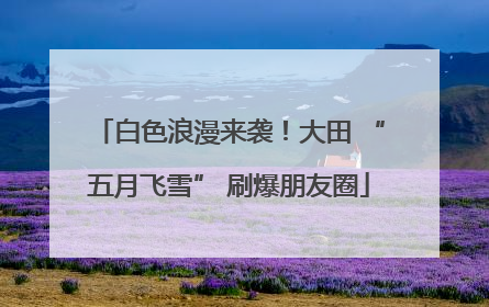 白色浪漫来袭！大田 “五月飞雪” 刷爆朋友圈