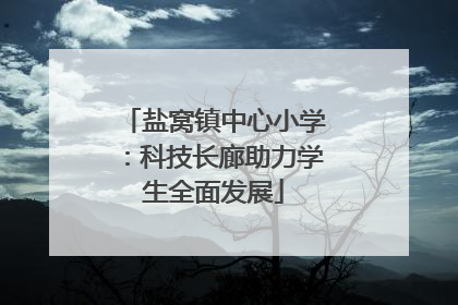 盐窝镇中心小学：科技长廊助力学生全面发展