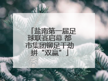 盐南第一届足球联赛启幕 都市集团铆足干劲拼“双赢”