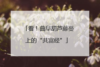 看！曲阜葫芦藤蔓上的“共富经”