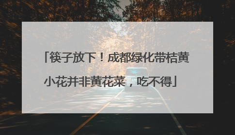筷子放下！成都绿化带桔黄小花并非黄花菜，吃不得