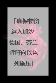 确保物资运入加沙 德国、芬兰呼吁向以色列施压