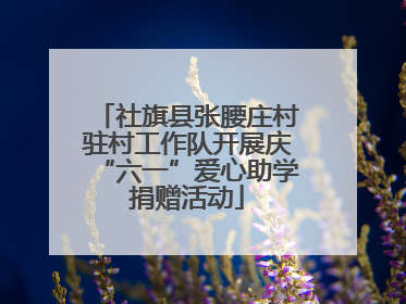 社旗县张腰庄村驻村工作队开展庆“六一”爱心助学捐赠活动