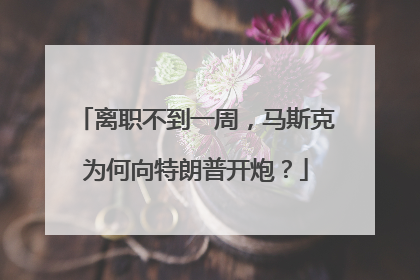 离职不到一周，马斯克为何向特朗普开炮？