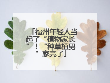 福州年轻人当起了“植物家长”！“种草植男”家亮了