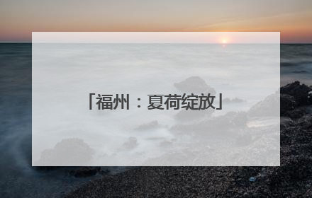 福州：夏荷绽放