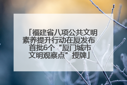 福建省八项公共文明素养提升行动在厦发布 首批6个“厦门城市文明观察点”授牌
